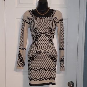 EUC Bodycon long sleeve dress